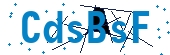 recaptcha