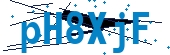 recaptcha