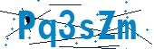 recaptcha