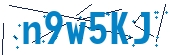 recaptcha